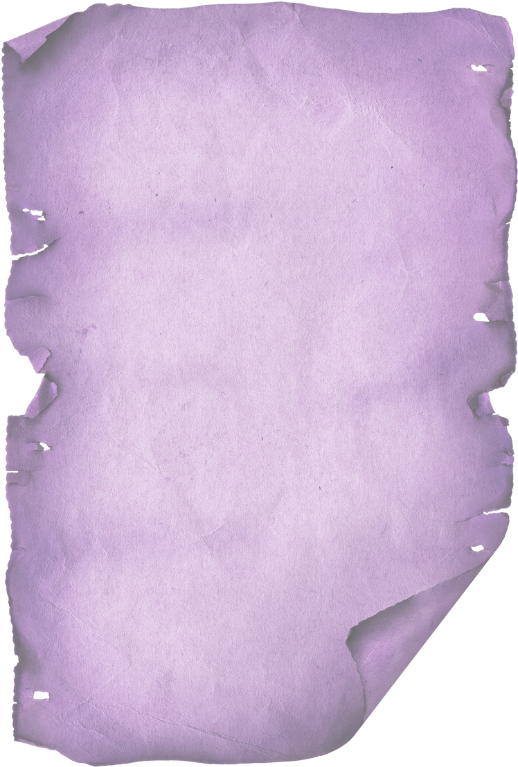 Harry Potter, Princess Sofia Party, Party Kit, Vectors, (800x1158), Png Download