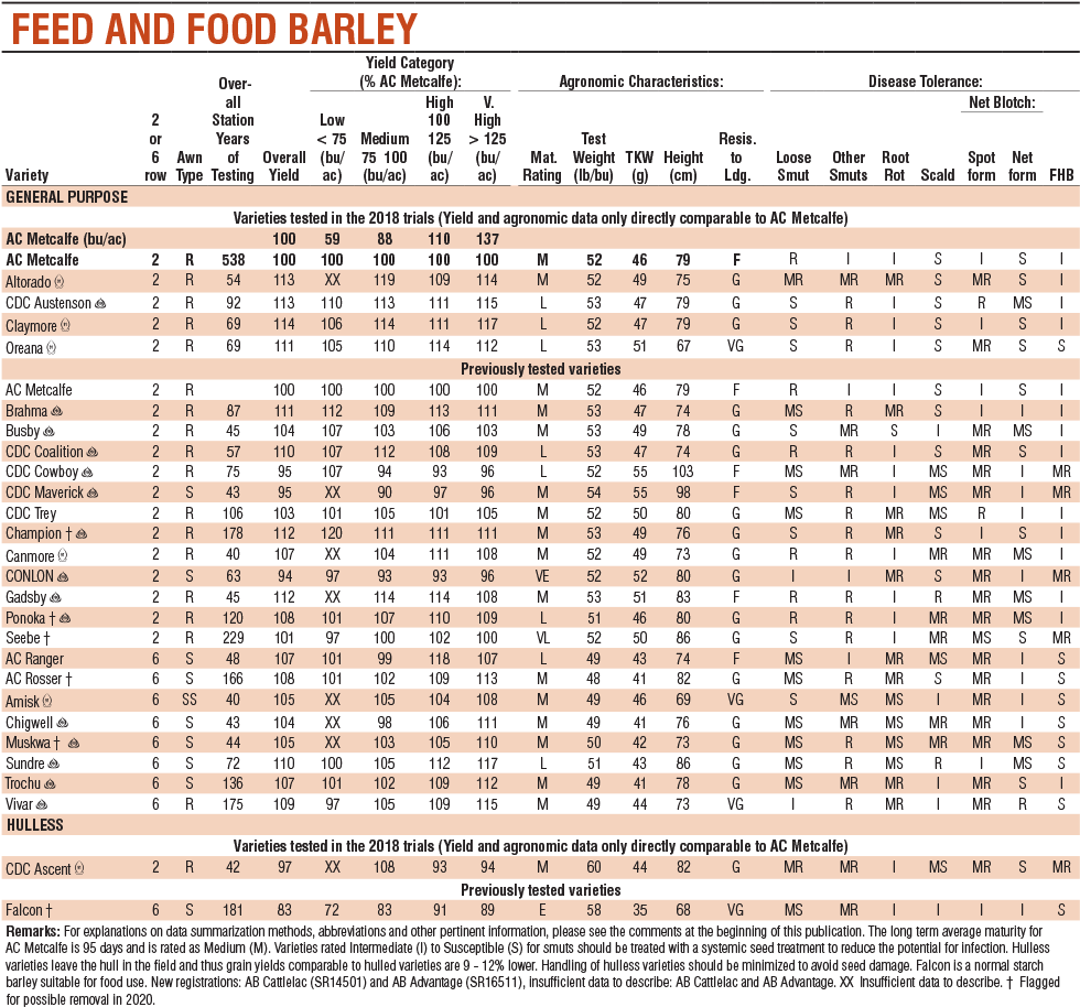 1 Feed And Food Barley (1024x1003), Png Download