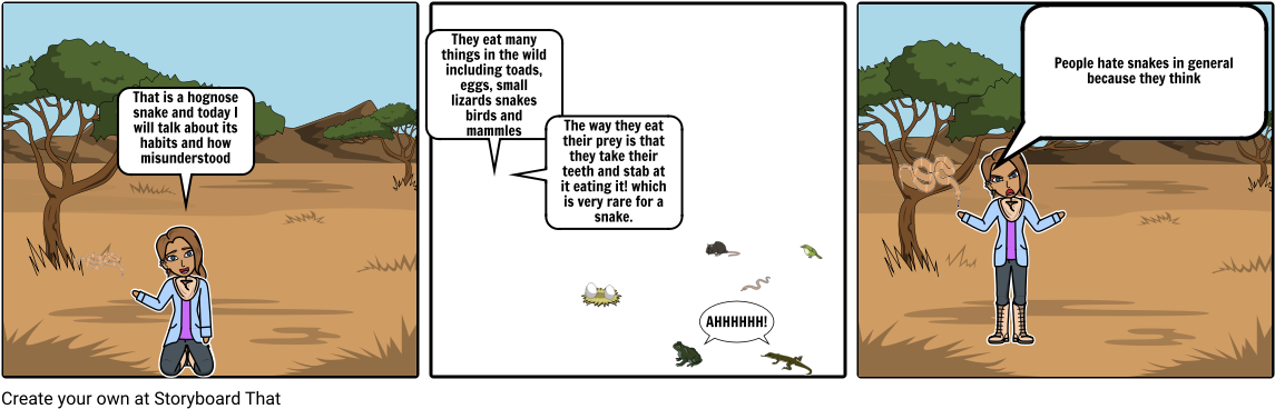 The Misunderstanment Of Hognose Snakes (1164x385), Png Download