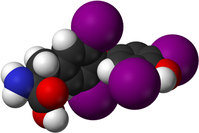 Pfizer's Levoxyl Drug Will Be Back On The Shelves Following (750x523), Png Download
