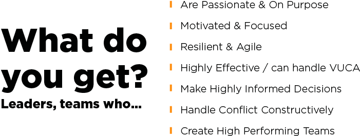 What Do You Get Higher Purpose Based Leadership (1000x400), Png Download
