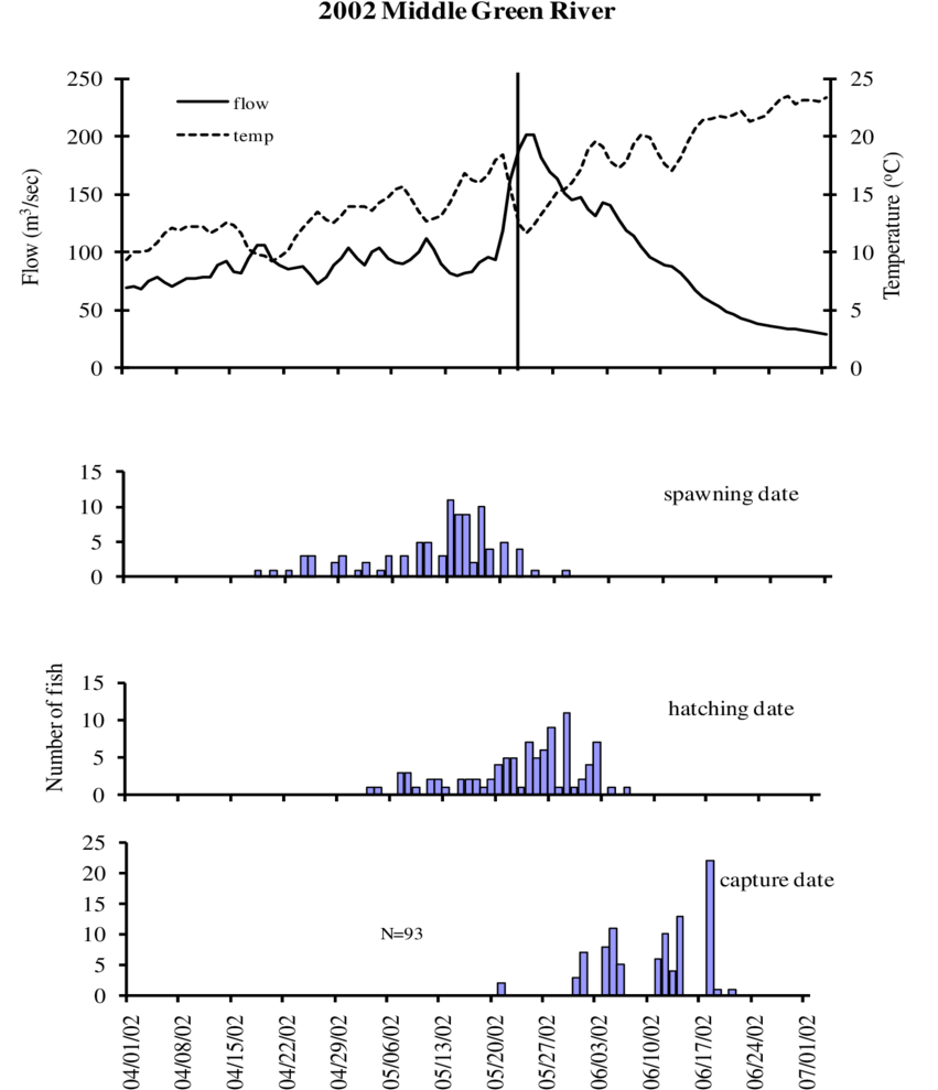 Capture And Otolith Age Estimated Hatching And Spawning (850x1030), Png Download