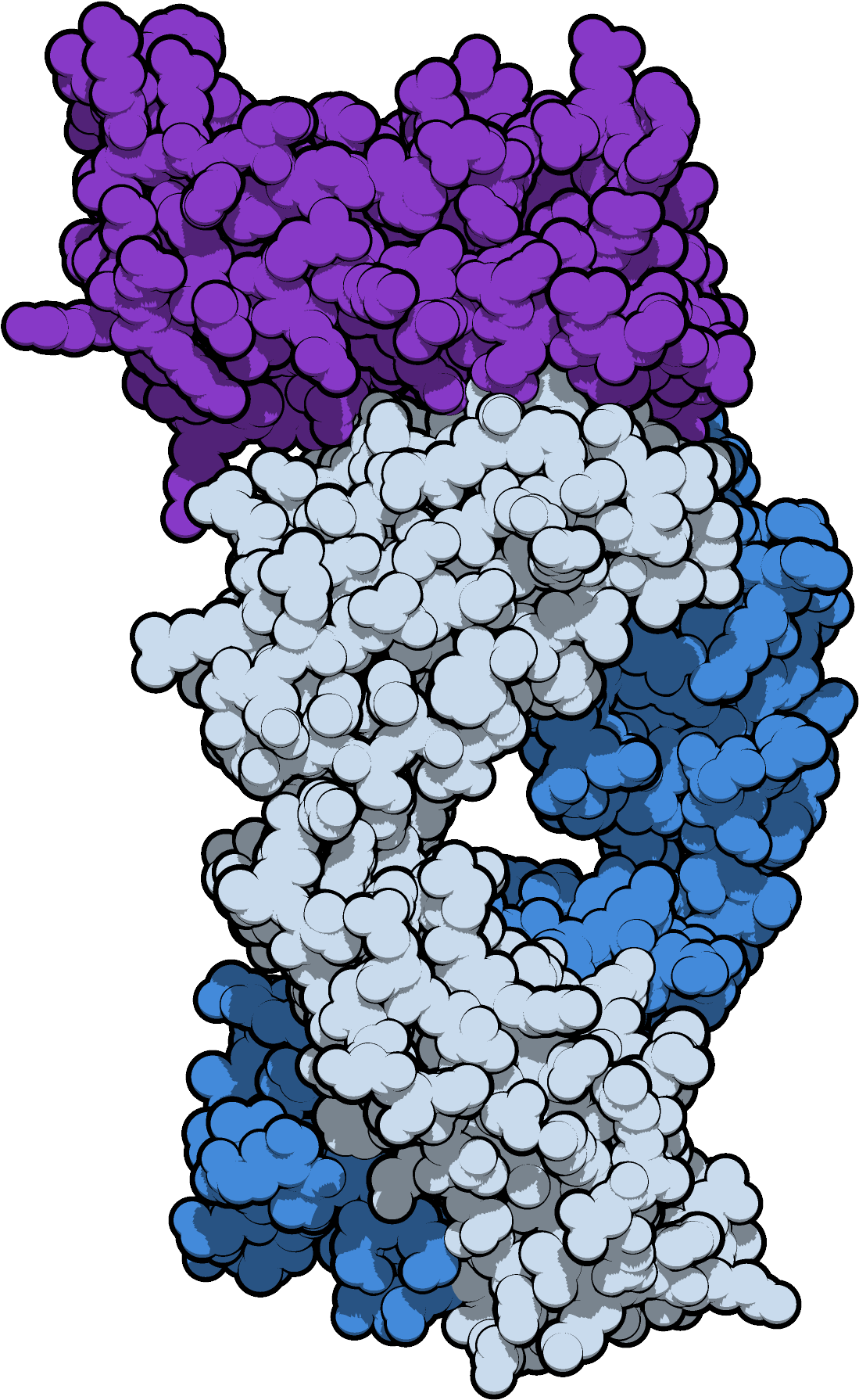 Sifalimumab 4ypg (1353x2048), Png Download