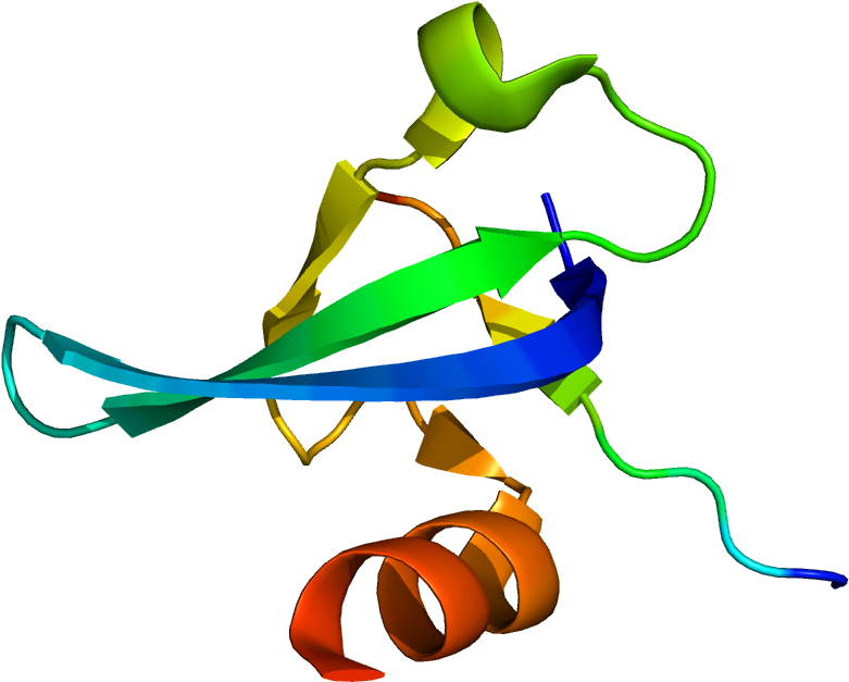 Protein Cbx5 Pdb 3fdt (1200x1000), Png Download
