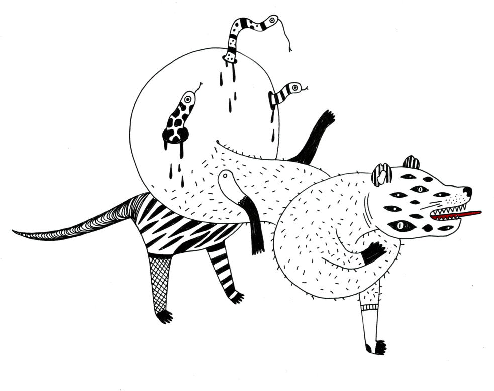 Long Badger (1000x789), Png Download