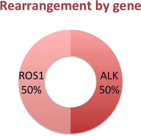 Rearrengement By Gene (935x561), Png Download