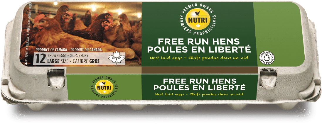 Free Run Hens Large Brown Eggs (1200x600), Png Download