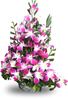 Picture Of Pink Orchid Arrangements (560x560), Png Download