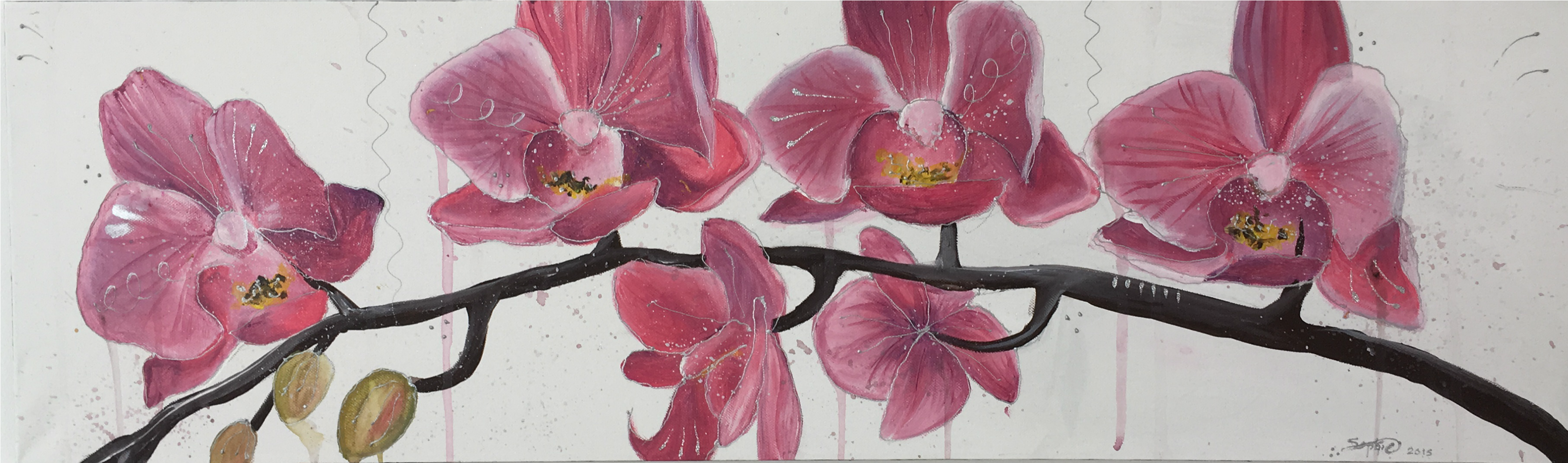 Pink Orchid (4000x3000), Png Download