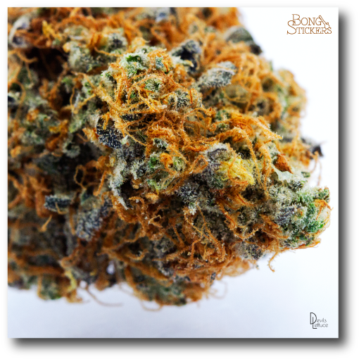 Dank Bud Weed Sticker (600x600), Png Download