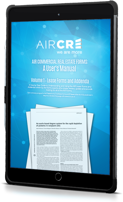Air Mockup 1 (634x797), Png Download