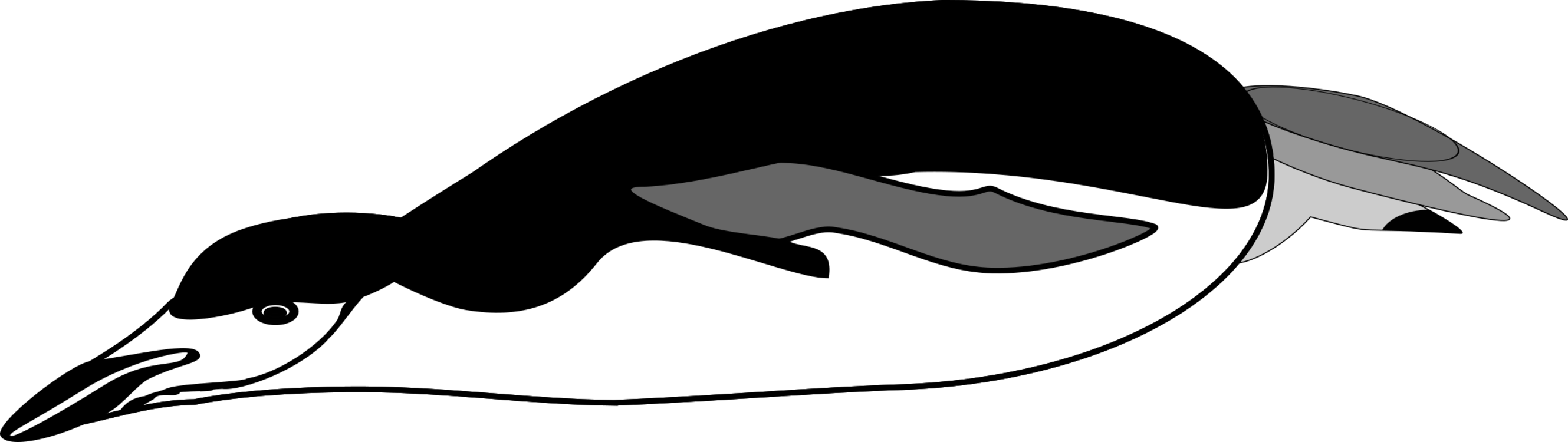 Penguin Computer Icons Silhouette Black And White Line (2659x750), Png Download