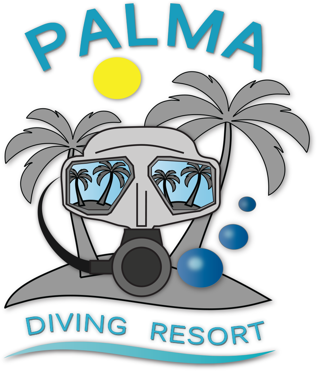 Palma Png (1022x1196), Png Download