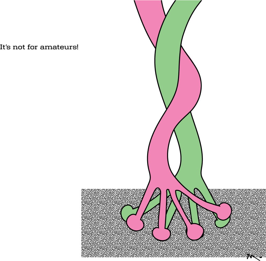 Tie The Knot (1024x1024), Png Download