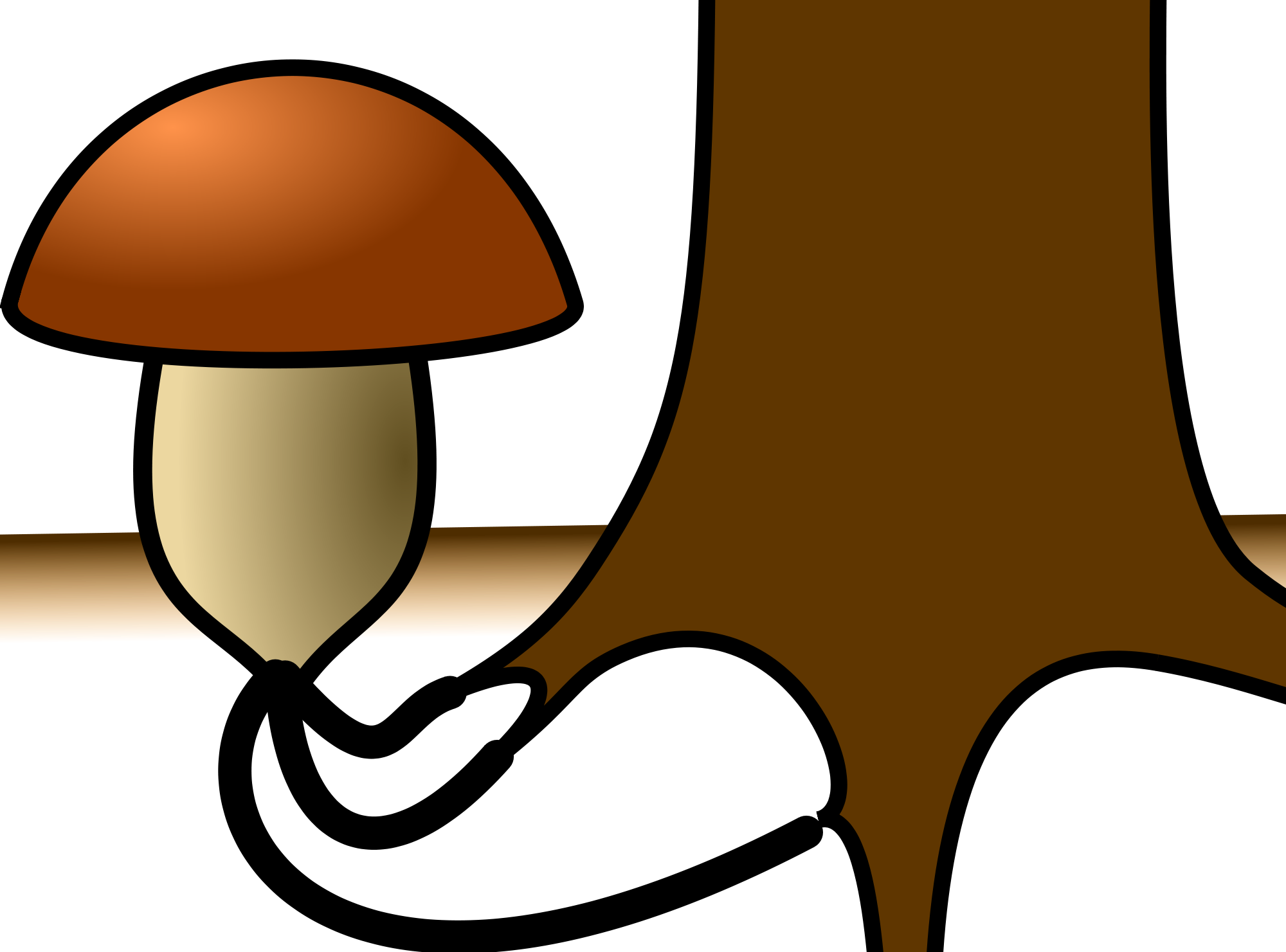 [thumbnail For Mycorrhizal Symbiosis Fungus By Natr (2000x1481), Png Download