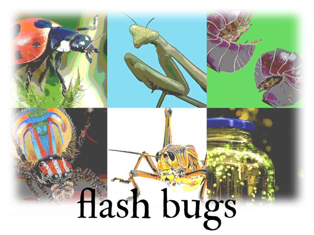 Works Flashbugs (1000x750), Png Download