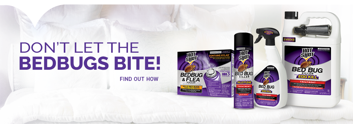 Bed Bug Products (1140x400), Png Download