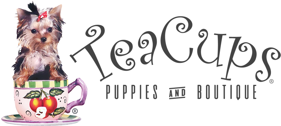 Chihuahua Clipart Teacup (1030x442), Png Download