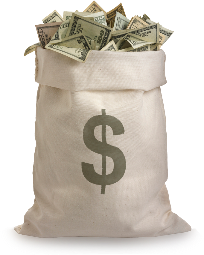 Bundle Of Dollar (700x908), Png Download