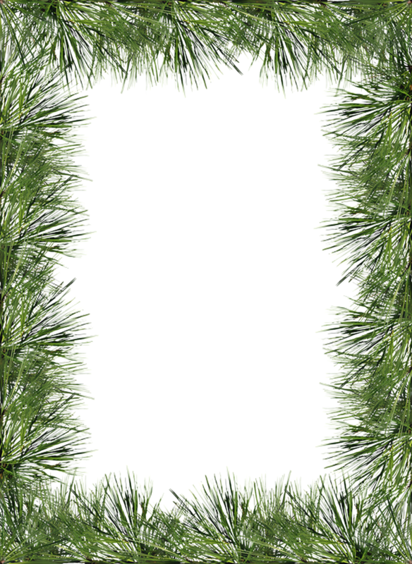 Christmas Pine Frame Png Clipart Borders And Frames (584x800), Png Download