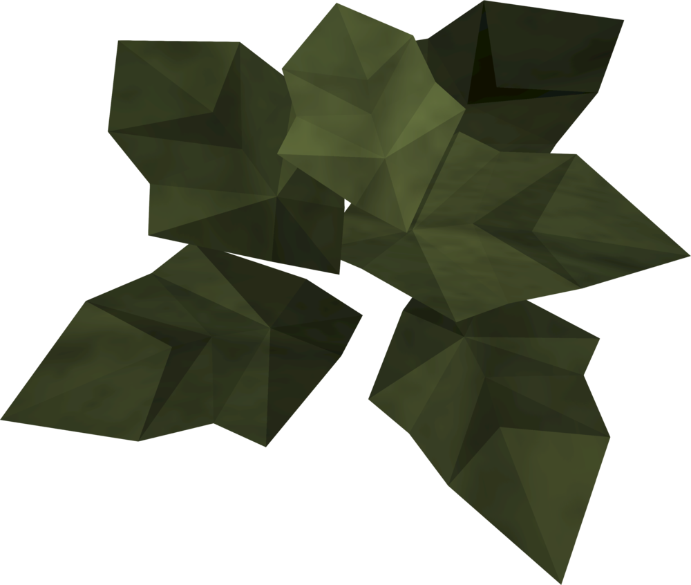Pile Of Evil Leaves Detail (1000x846), Png Download
