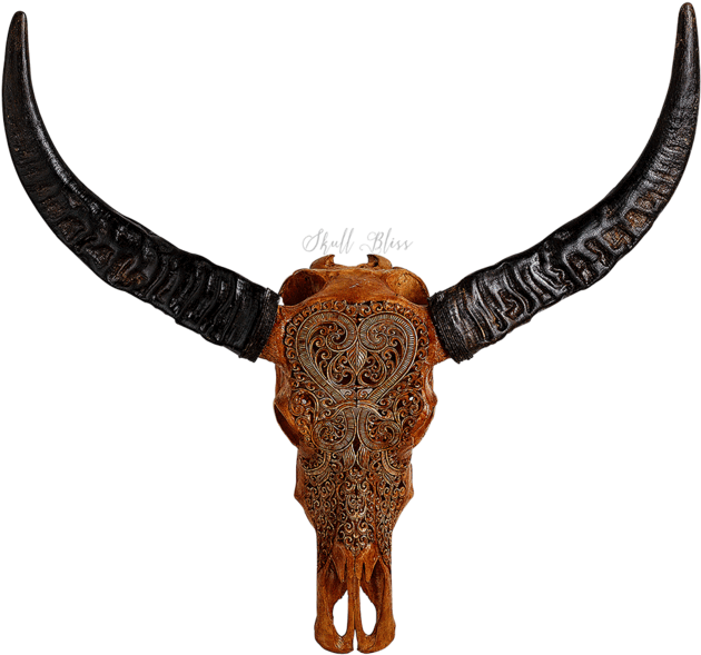 Carved Buffalo Skull (645x645), Png Download