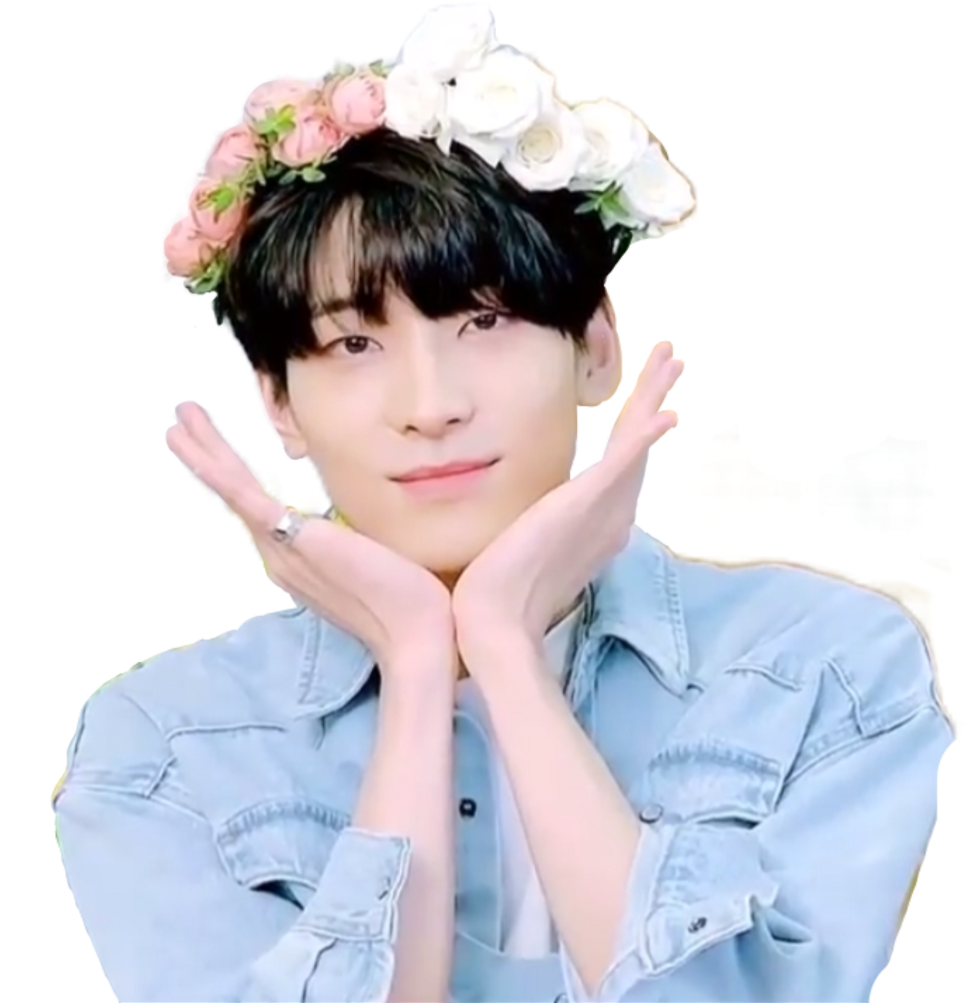 Jeon Wonwoo Wonwoo Wonu Seventeen Flowerboy Kpop Sevent (1024x1024), Png Download