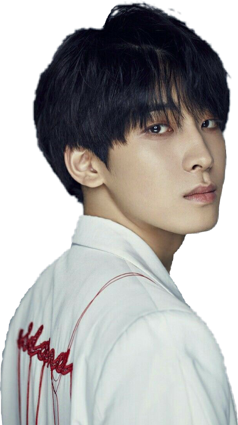 Wonwoo Png (480x855), Png Download