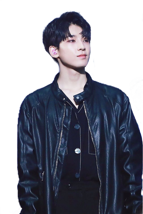 Wonwoo Png (480x720), Png Download