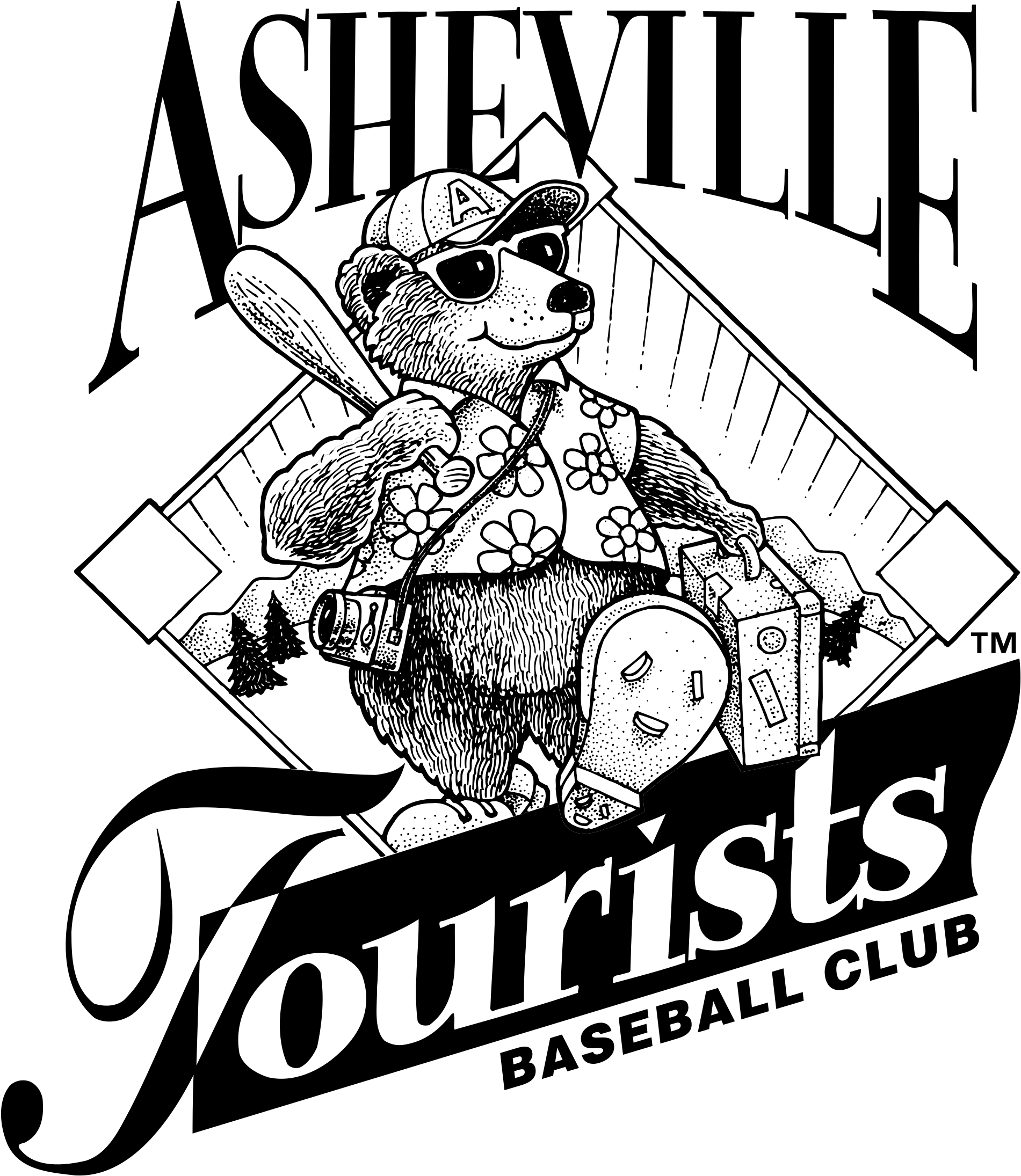 Asheville Tourists Logo Png Transparent (2400x2400), Png Download