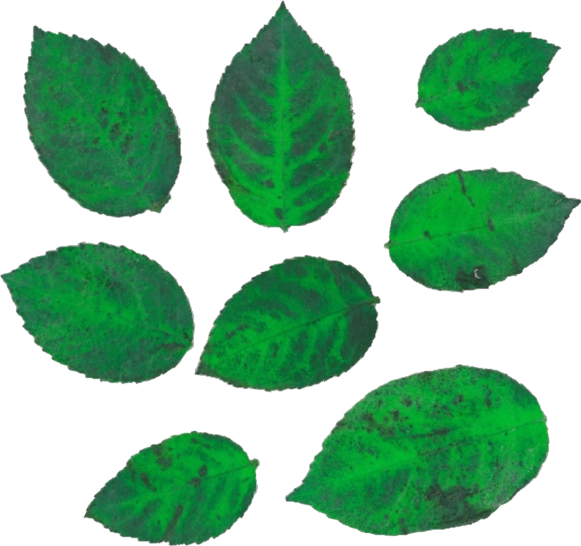 Manualidades Para Beb En Goma Eva Apexwallpapers Com (1278x1194), Png Download