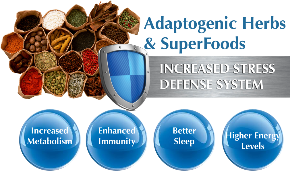 Adaptogenic Herbs And Superfooddefense (1024x634), Png Download