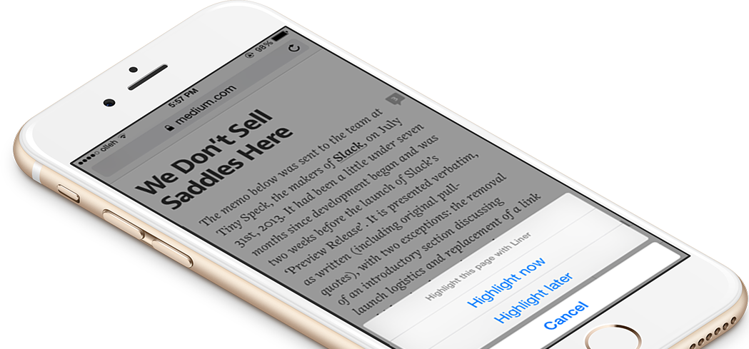 Liner's Share Extension On Safari Browser (1049x489), Png Download
