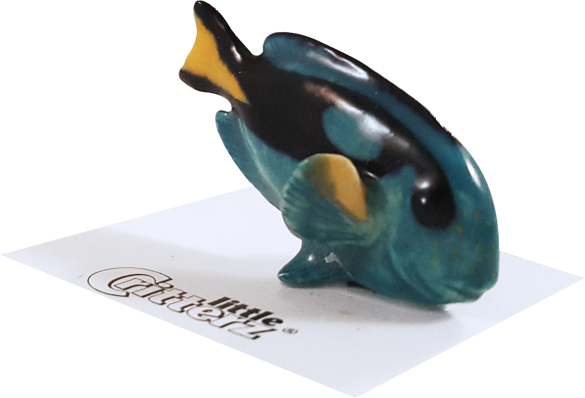 "hippo" Blue Tang Fish (2048x1466), Png Download