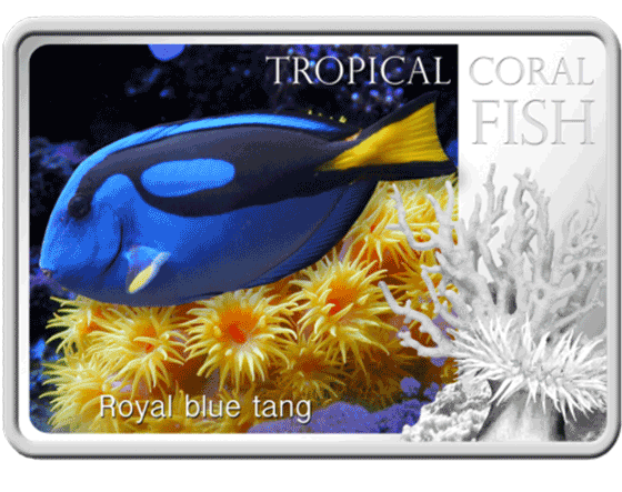 Niue 2013 1$ Royal Blue Tang Tropical Fish Proof Silver (560x560), Png Download