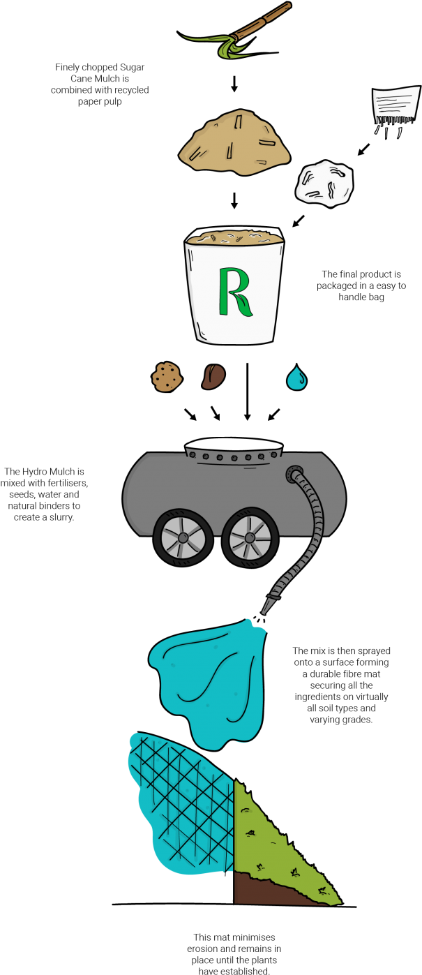 Here Is An Example Of Vegetation Growth In Just A 7-week (768x1472), Png Download