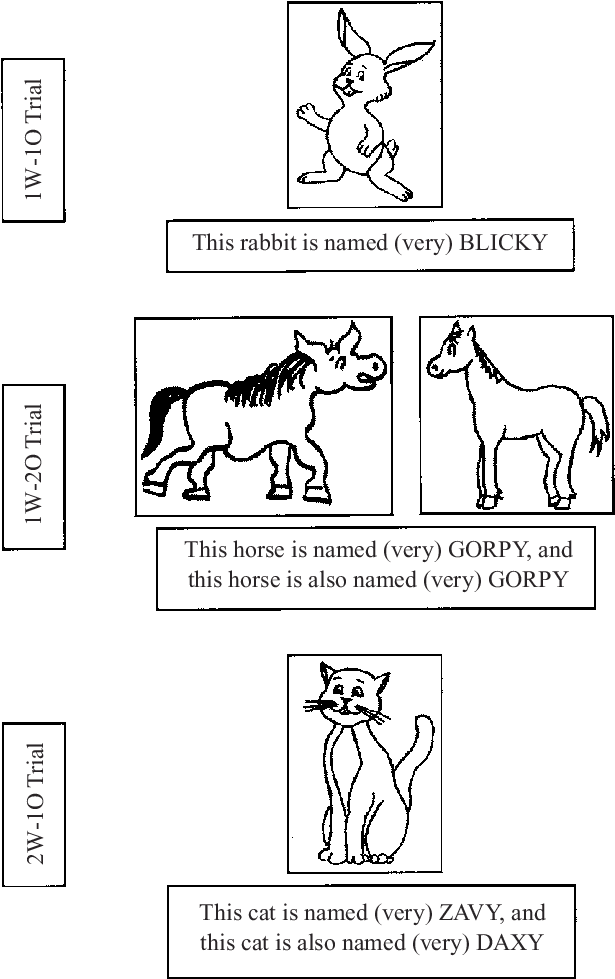 The Word ' Named' Was Used In The Proper Name Condition, (624x981), Png Download