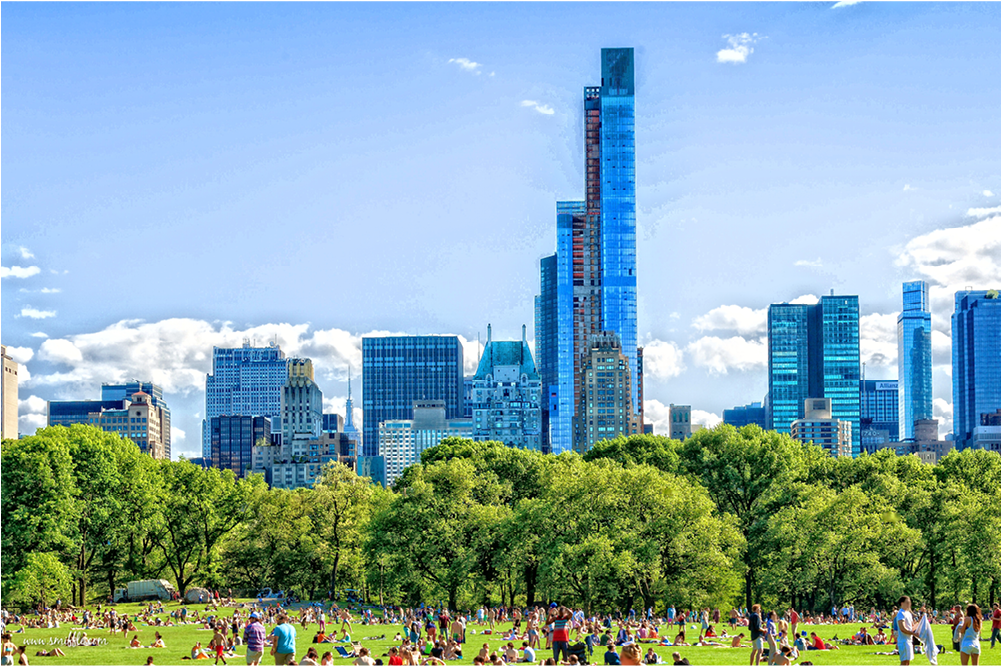 Central Park - Ny016 (1000x1000), Png Download