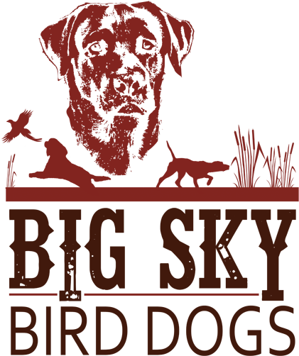 Big Sky Bird Dogs Logo Big Sky Bird Dogs Logo (600x600), Png Download