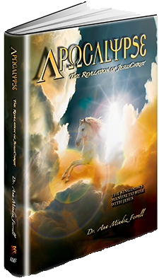 Apocalypse By Ana Mendez Ferell 9781933163833 (paperback) (300x500), Png Download