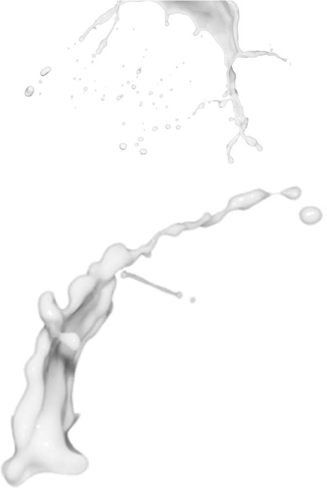 Splatter Vector Milk - Milk Splash Transparent Png (732x1024), Png Download