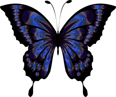 Butterfly Blue Insect Drawing Purple - Beautiful Butterfly Images Clip Art (408x340), Png Download