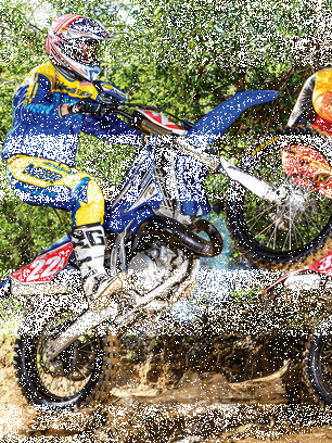 Freestyle Motocross (306x408), Png Download