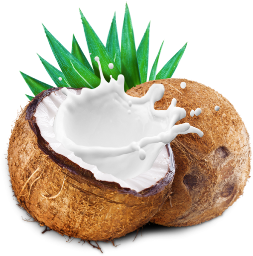 Coconut With Coconut Milk Splash - Leite De Coco Em Po Pura Vida (530x529), Png Download