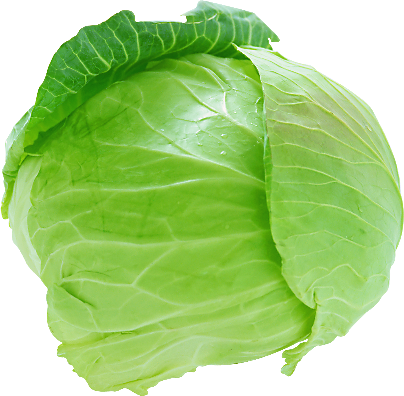 Carrot Png Image - Cabbage Png (1458x1443), Png Download