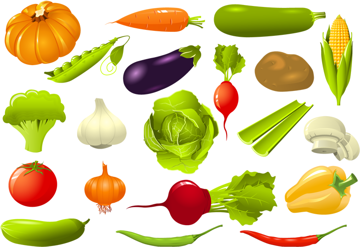 Vector Vegetables Png (800x600), Png Download