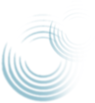 Circle (564x481), Png Download