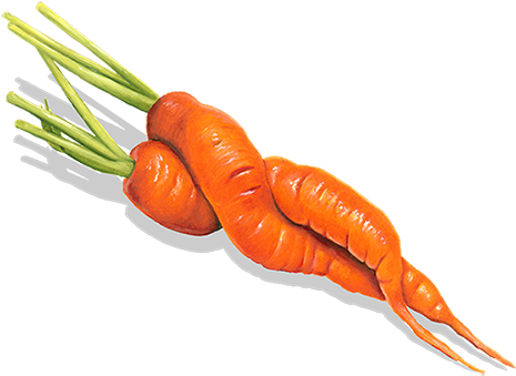Baby Carrot (491x369), Png Download