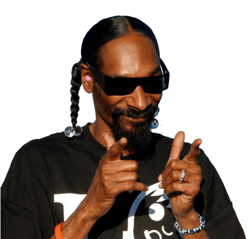 Music Stars - Face Down Ass Up That's The Way We Like To Hyuck (500x482), Png Download