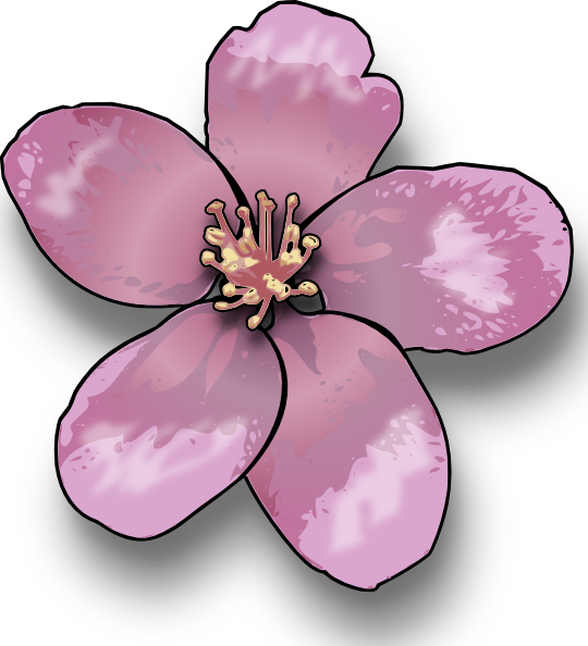 Sakura Clipart Apple Blossom - Blossoms Clipart (540x594), Png Download